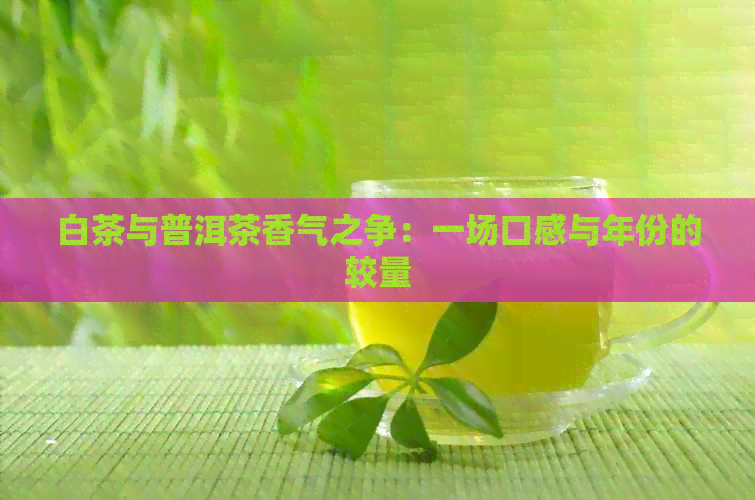 白茶与普洱茶香气之争：一场口感与年份的较量