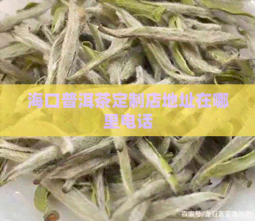 海口普洱茶定制店地址在哪里电话