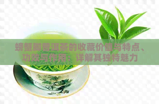 螃蟹脚普洱茶的收藏价值与特点、功效与作用：详解其独特魅力