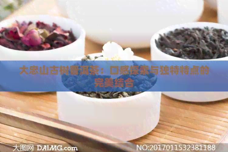 大忠山古树普洱茶：口感探索与独特特点的完美结合