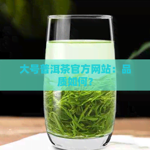 大号普洱茶官方网站：品质如何？