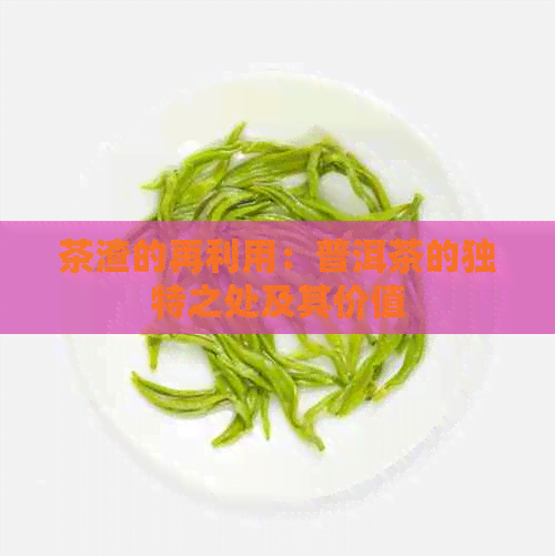 茶渣的再利用：普洱茶的独特之处及其价值