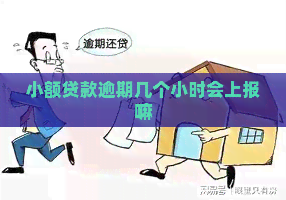 小额贷款逾期几个小时会上报嘛