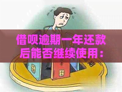 借呗逾期一年还款后能否继续使用：安全性分析