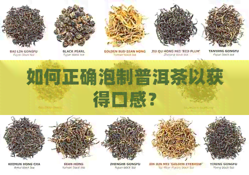 如何正确泡制普洱茶以获得口感？