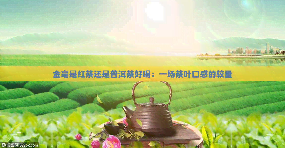 金毫是红茶还是普洱茶好喝：一场茶叶口感的较量