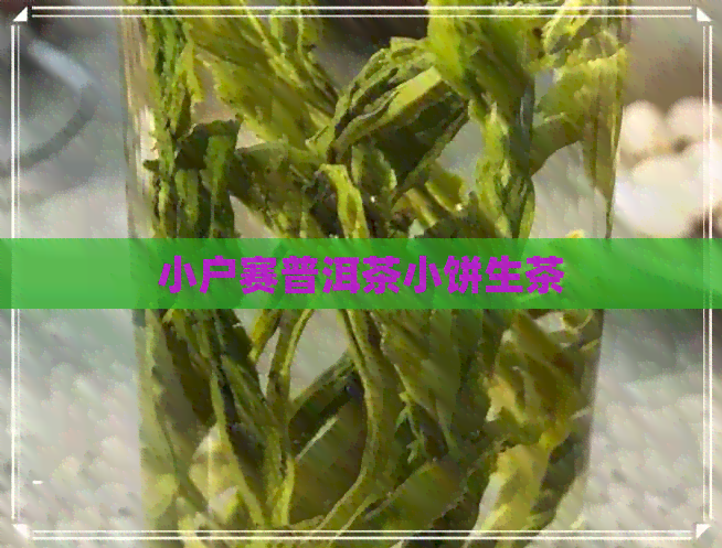 小户赛普洱茶小饼生茶