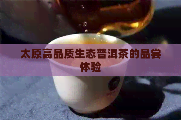 太原高品质生态普洱茶的品尝体验