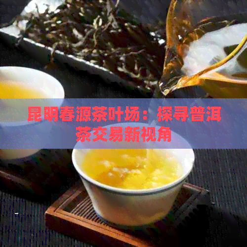 昆明春源茶叶场：探寻普洱茶交易新视角