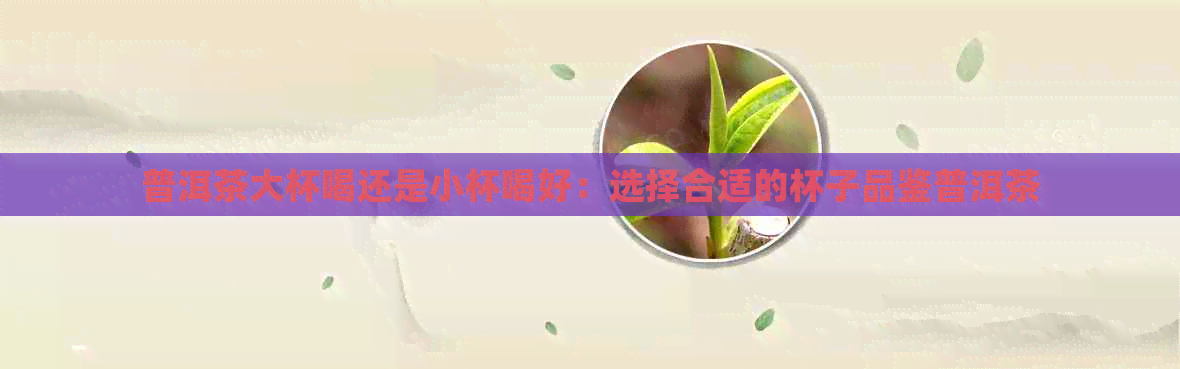 普洱茶大杯喝还是小杯喝好：选择合适的杯子品鉴普洱茶