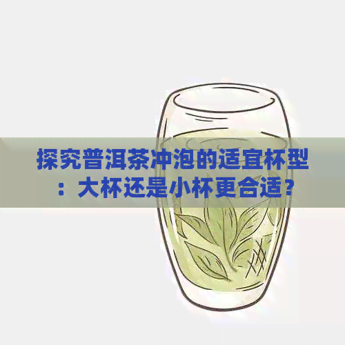 探究普洱茶冲泡的适宜杯型：大杯还是小杯更合适？