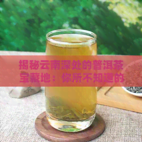 揭秘云南深处的普洱茶宝藏地：你所不知道的六大茶山产区