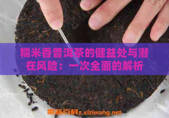 糯米香普洱茶的健益处与潜在风险：一次全面的解析