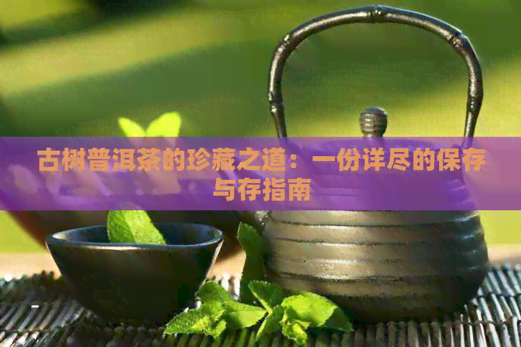 古树普洱茶的珍藏之道：一份详尽的保存与存指南