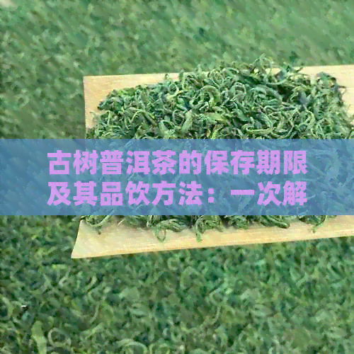 古树普洱茶的保存期限及其品饮方法：一次解读所有疑问