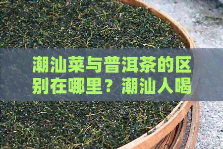 潮汕菜与普洱茶的区别在哪里？潮汕人喝普洱茶吗？