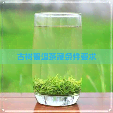 古树普洱茶藏条件要求