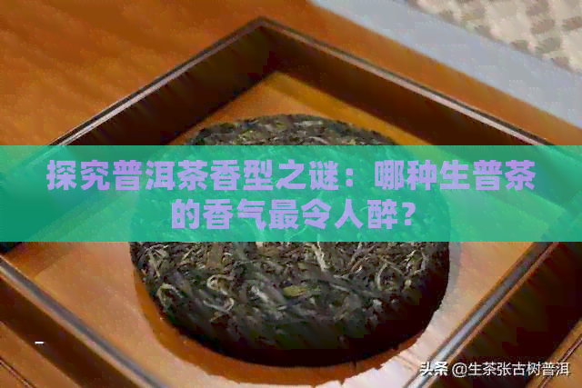 探究普洱茶香型之谜：哪种生普茶的香气最令人醉？