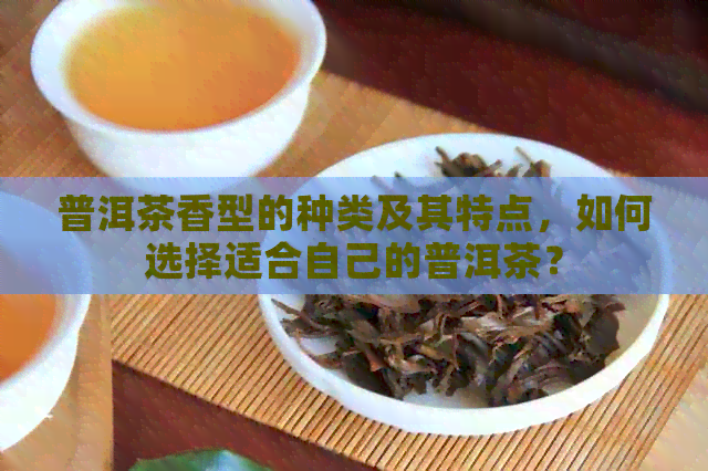 普洱茶香型的种类及其特点，如何选择适合自己的普洱茶？