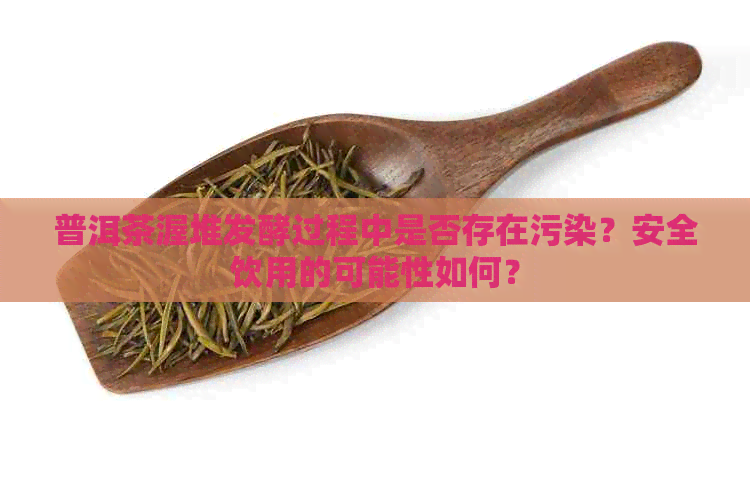 普洱茶渥堆发酵过程中是否存在污染？安全饮用的可能性如何？