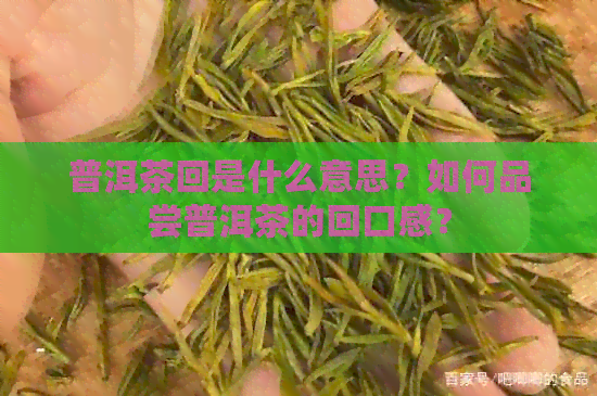 普洱茶回是什么意思？如何品尝普洱茶的回口感？