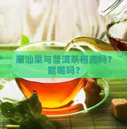 潮汕菜与普洱茶相克吗？能喝吗？