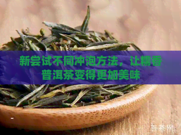 新尝试不同冲泡方法，让糯香普洱茶变得更加美味