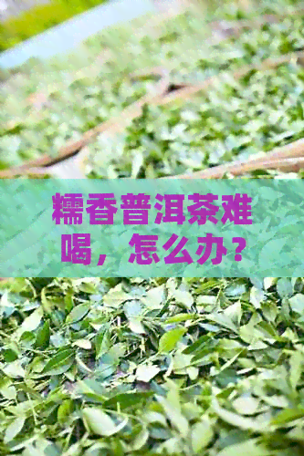 糯香普洱茶难喝，怎么办？