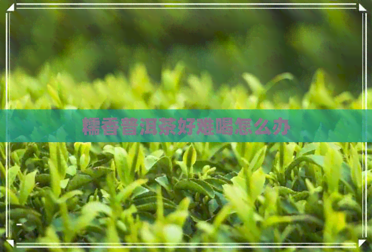 糯香普洱茶好难喝怎么办