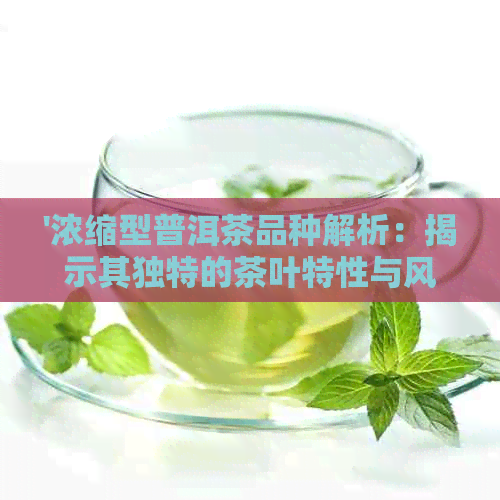 '浓缩型普洱茶品种解析：揭示其独特的茶叶特性与风味'