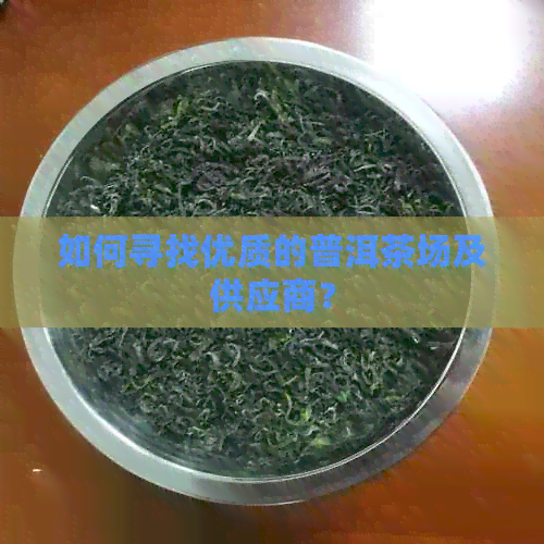 如何寻找优质的普洱茶场及供应商？