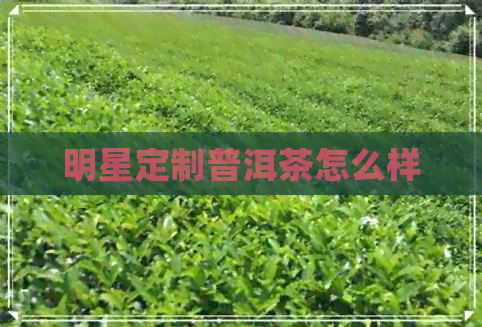 明星定制普洱茶怎么样