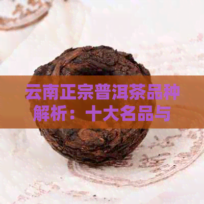 云南正宗普洱茶品种解析：十大名品与独特风味