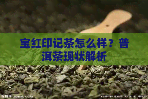 宝红印记茶怎么样？普洱茶现状解析