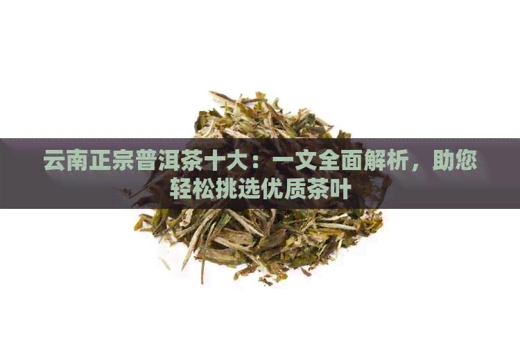 云南正宗普洱茶十大：一文全面解析，助您轻松挑选优质茶叶