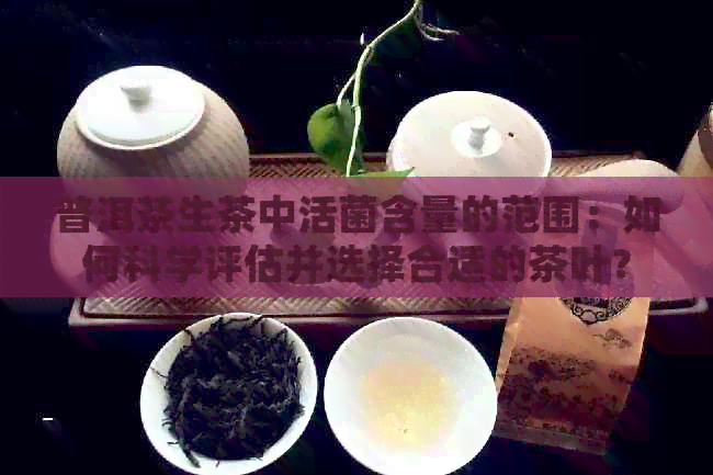 普洱茶生茶中活菌含量的范围：如何科学评估并选择合适的茶叶？