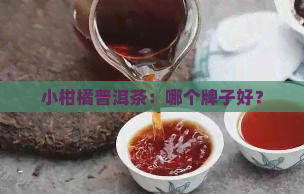 小柑橘普洱茶：哪个牌子好？