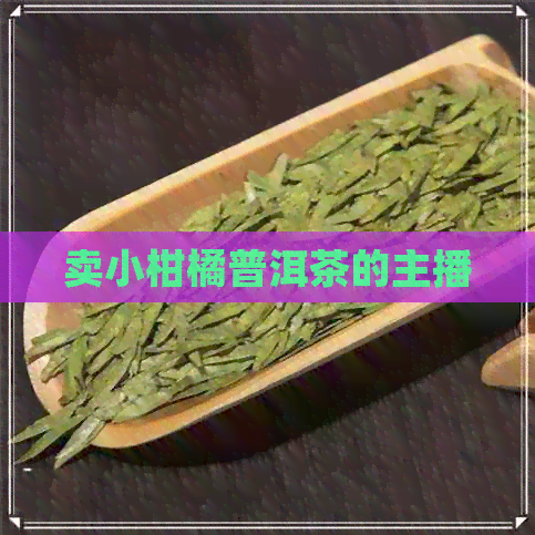 卖小柑橘普洱茶的主播