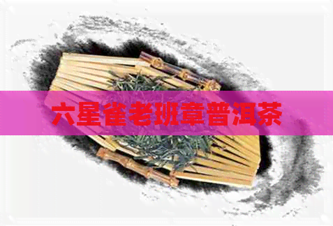 六星雀老班章普洱茶