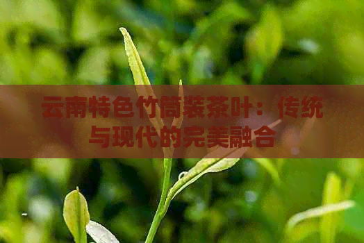 云南特色竹筒装茶叶：传统与现代的完美融合