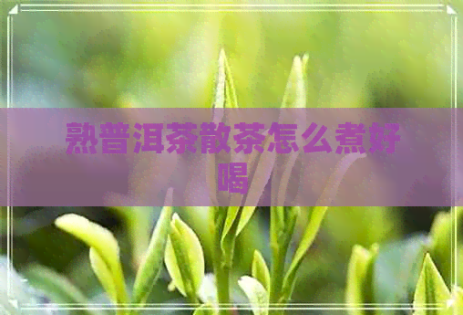 熟普洱茶散茶怎么煮好喝