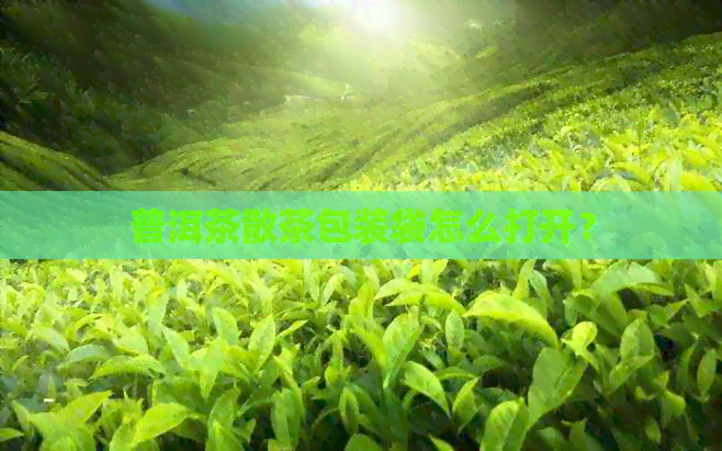 普洱茶散茶包装袋怎么打开？