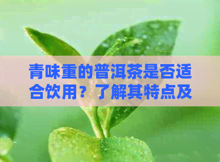 青味重的普洱茶是否适合饮用？了解其特点及可能的影响