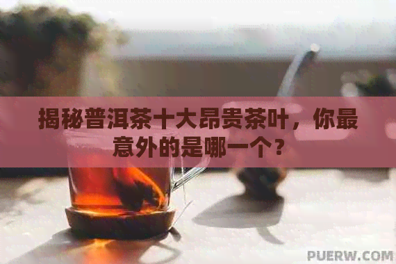 揭秘普洱茶十大昂贵茶叶，你最意外的是哪一个？