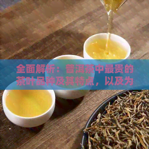 全面解析：普洱茶中最贵的茶叶品种及其特点，以及为何如此珍贵？