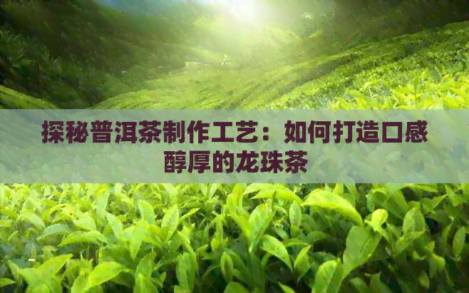 探秘普洱茶制作工艺：如何打造口感醇厚的龙珠茶