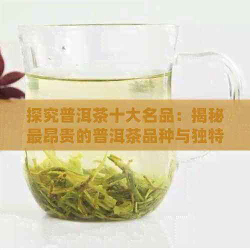 探究普洱茶十大名品：揭秘最昂贵的普洱茶品种与独特魅力