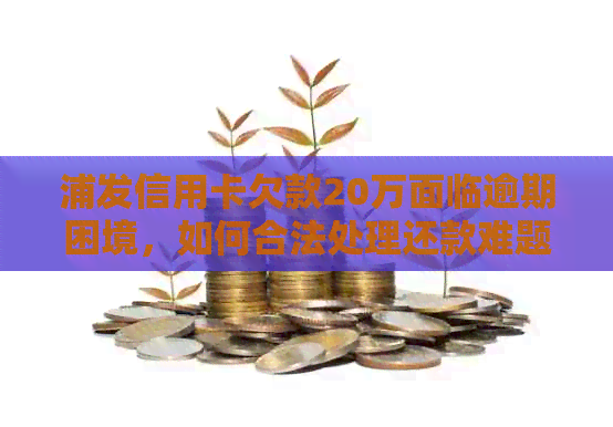 浦发信用卡欠款20万面临逾期困境，如何合法处理还款难题？