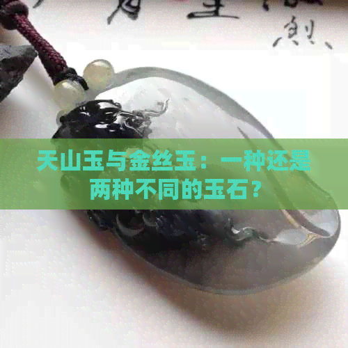 天山玉与金丝玉：一种还是两种不同的玉石？