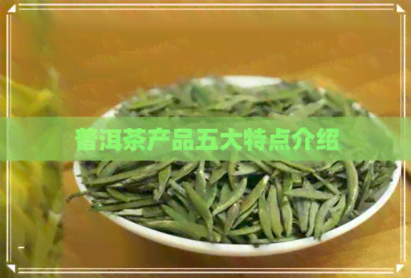 普洱茶产品五大特点介绍